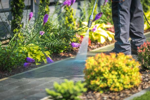 Best Soft Washing for Delicate Surfaces in Fairfield, IA